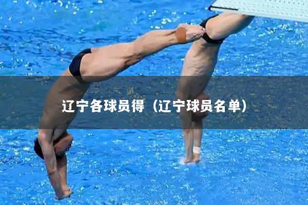 辽宁各球员得（辽宁球员名单）