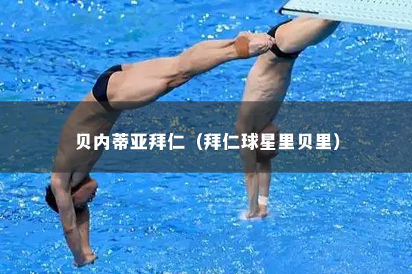 贝内蒂亚拜仁（拜仁球星里贝里）